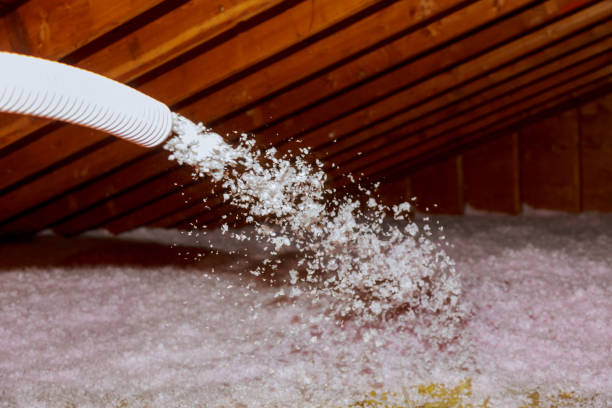 Best Blown-in Insulation in Ridgely, TN