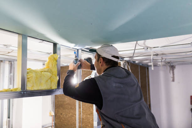 Best Geographic-Specific Insulation Services in Ridgely, TN