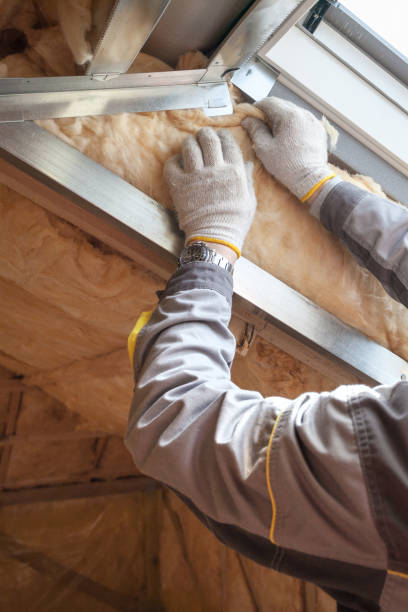 Trusted Ridgely, TN Insulation Contractor Experts