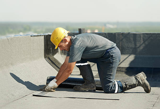Best Spray Foam Insulation in Ridgely, TN