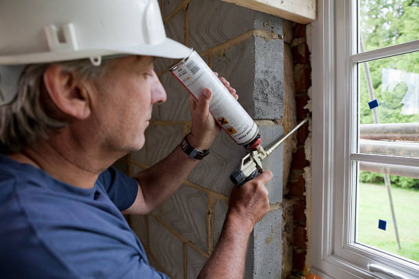 Best Eco-Friendly Insulation in Ridgely, TN
