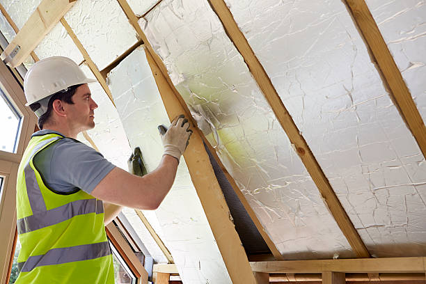 Best Insulation Maintenance and Repair in Ridgely, TN